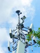 南区将继续深化人工智能正在林业范畴的立异使 